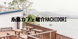 糸島カフェ紹介HACHIDORI